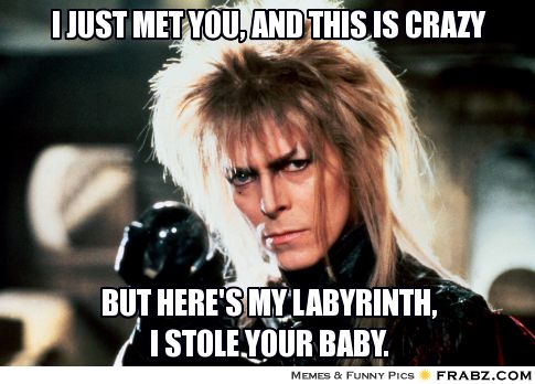 frabz-I-just-met-you-and-this-is-crazy-but-heres-my-labyrinth-i-stole--c14616.jpg