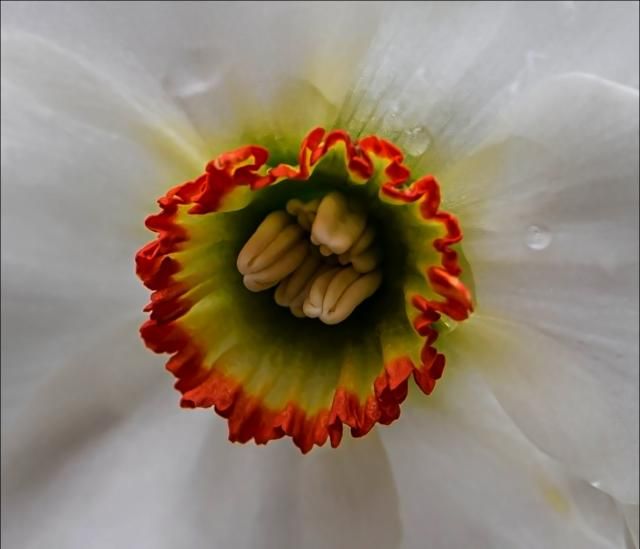 IMAGE: http://img.photobucket.com/albums/v634/oldducker/untitled-4_pe_zps554434f7.jpg