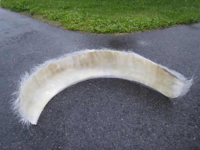 Kuva