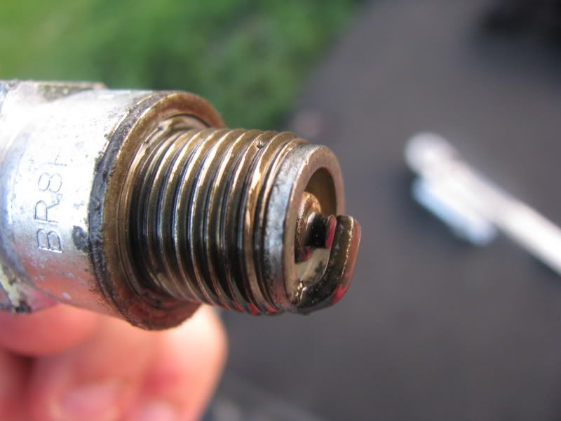 a12d69fc.jpg
