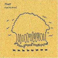 Psapp - Tiger, My Friend