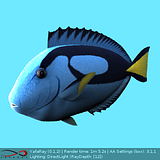 [Image: th_yafaraybluefish_zpsd7143c14.png]