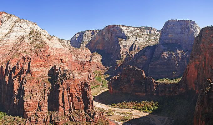 IMAGE: http://img.photobucket.com/albums/v636/rrrr/107069843-Lcopy-1.jpg