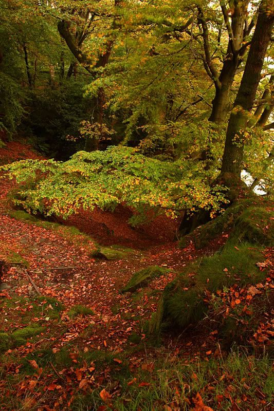IMAGE: http://img.photobucket.com/albums/v636/rrrr/8609Ullswater_Lakeside-medcopy.jpg