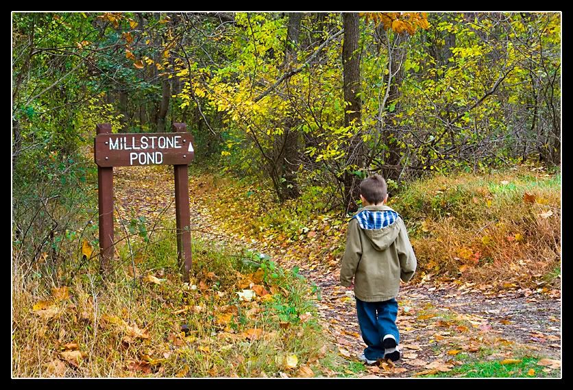 IMAGE: http://img.photobucket.com/albums/v636/rrrr/bobbywalking3.jpg