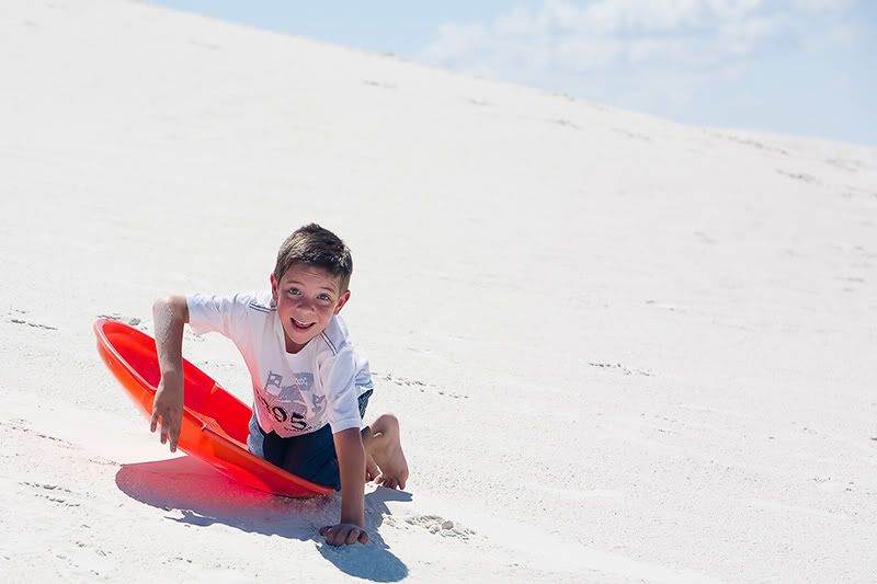 IMAGE: http://img.photobucket.com/albums/v636/rrrr/ebay/20080906-_MG_0210-11.jpg