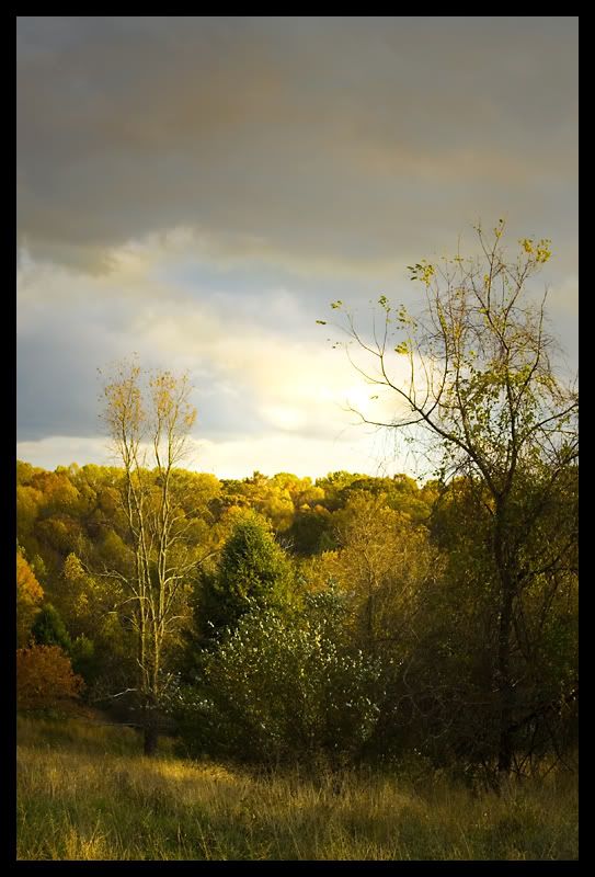 IMAGE: http://img.photobucket.com/albums/v636/rrrr/fallcolors10.jpg