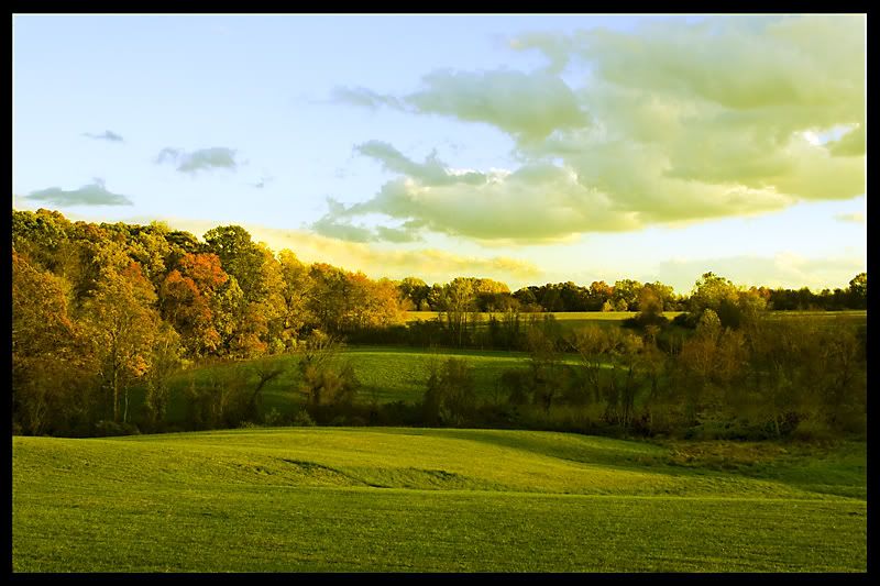 IMAGE: http://img.photobucket.com/albums/v636/rrrr/fallcolors2.jpg