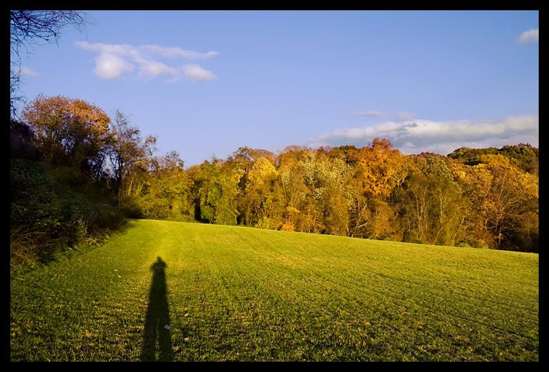 IMAGE: http://img.photobucket.com/albums/v636/rrrr/fallfoliage7.jpg