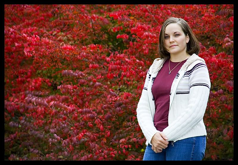 IMAGE: http://img.photobucket.com/albums/v636/rrrr/fallfoliage8.jpg