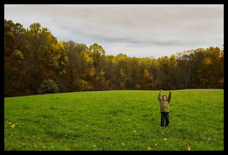 IMAGE: http://img.photobucket.com/albums/v636/rrrr/fallfoliage9.jpg