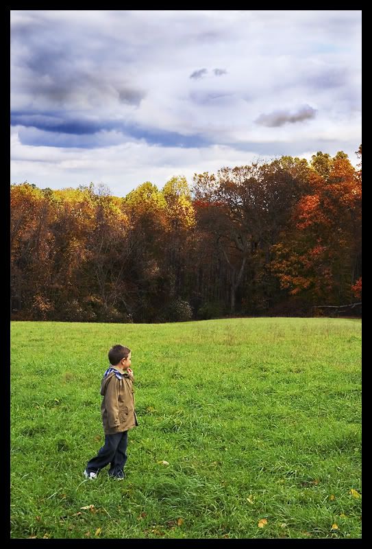 IMAGE: http://img.photobucket.com/albums/v636/rrrr/foliage11.jpg