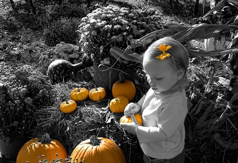 IMAGE: http://img.photobucket.com/albums/v636/rrrr/lisaandpumkins2.jpg