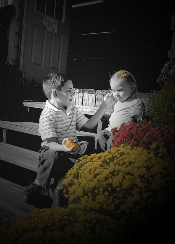 IMAGE: http://img.photobucket.com/albums/v636/rrrr/pumkinpatch5.jpg