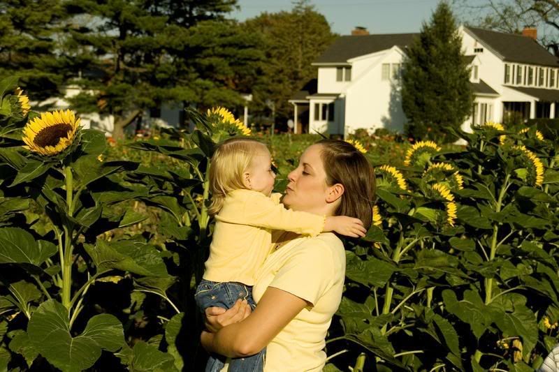 IMAGE: http://img.photobucket.com/albums/v636/rrrr/pumkinpatch6.jpg