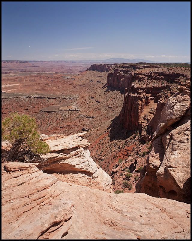 IMAGE: http://img.photobucket.com/albums/v636/rrrr/ub%20trucks/_MG_3666-1.jpg