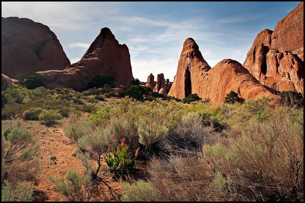 IMAGE: http://img.photobucket.com/albums/v636/rrrr/ub%20trucks/_MG_3748-1.jpg