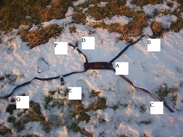 Marking Harness--good-bad? - Goats