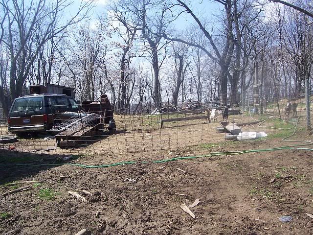 "Momma Got run over by a Nubian!" - Goats