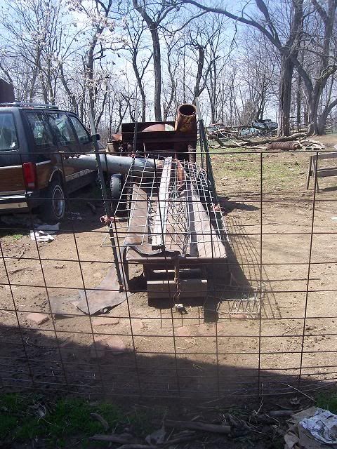 "Momma Got run over by a Nubian!" - Goats