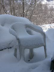 Babies with ears...mostly - Goats