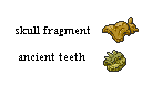 fossils2.png