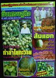 รูปภาพ