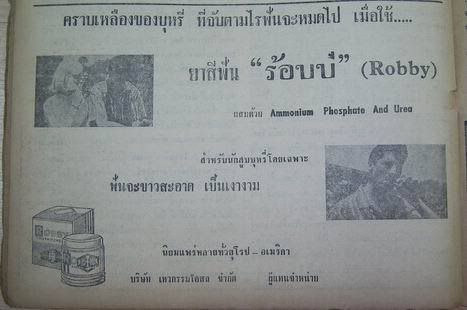 รูปภาพ