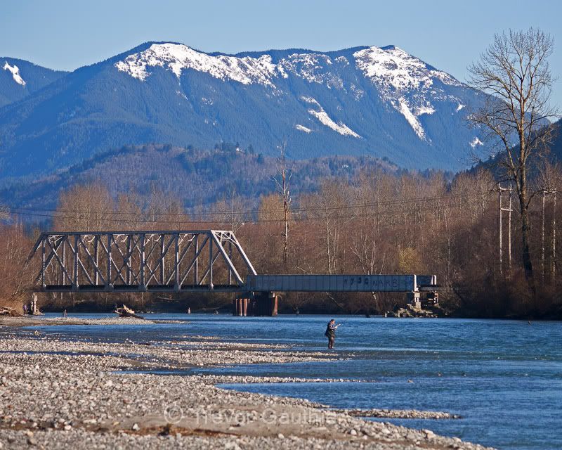 IMAGE: http://img.photobucket.com/albums/v637/tbone903/Fishing.jpg