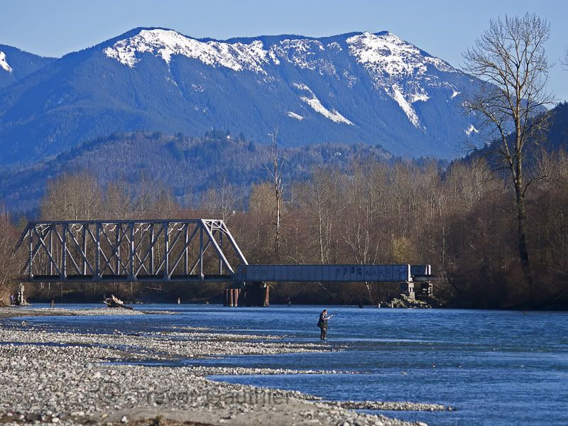 IMAGE: http://img.photobucket.com/albums/v637/tbone903/Fishing2-1.jpg