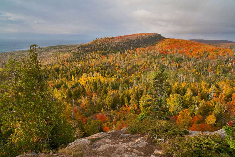 IMAGE: http://img.photobucket.com/albums/v637/tbone903/IMG0070-copy-XL.jpg