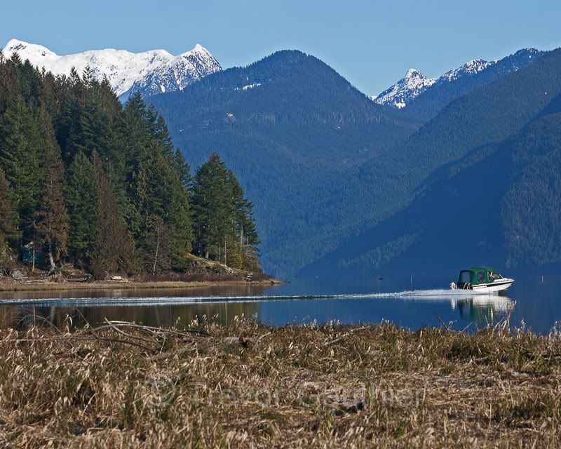 IMAGE: http://img.photobucket.com/albums/v637/tbone903/Pittlake1-1.jpg