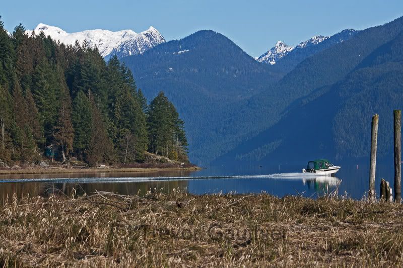 IMAGE: http://img.photobucket.com/albums/v637/tbone903/Pittlake2.jpg