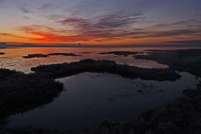 IMAGE: http://img.photobucket.com/albums/v637/tbone903/sunrise1.jpg