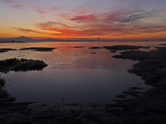 IMAGE: http://img.photobucket.com/albums/v637/tbone903/sunrise2.jpg