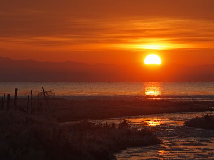 IMAGE: http://img.photobucket.com/albums/v637/tbone903/sunrise4.jpg