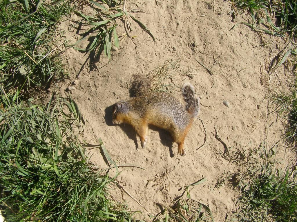 Just got back from 4 days at Horsefly, BC Canadian Airgun Forum