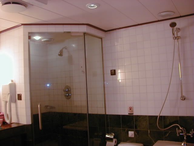 SS6146Shower.jpg