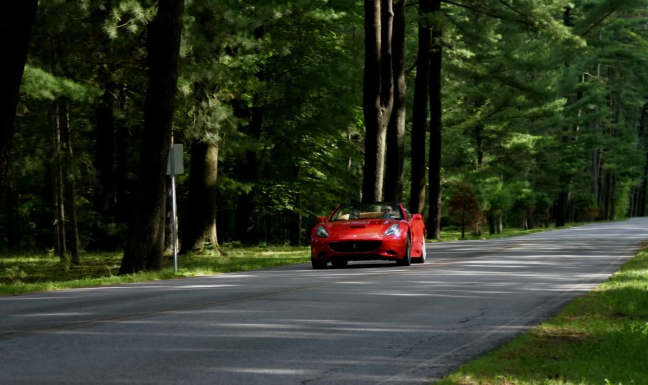 http://img.photobucket.com/albums/v638/Mafdark/Ferrari%20Fall%20Festival/IMG_4349-1.jpg