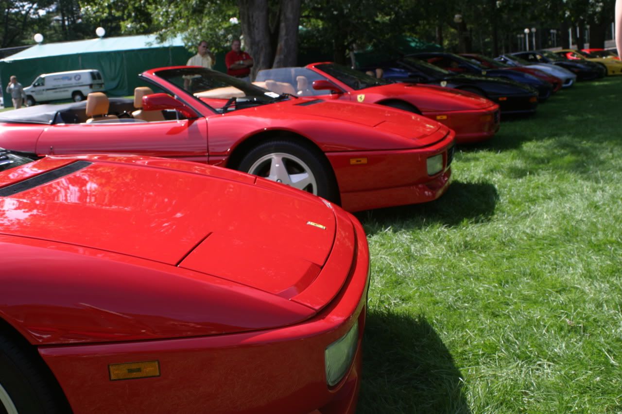 http://img.photobucket.com/albums/v638/Mafdark/Ferrari%20Fall%20Festival/IMG_4520.jpg