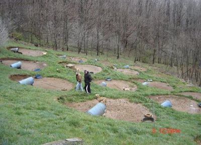mountain man pitbull