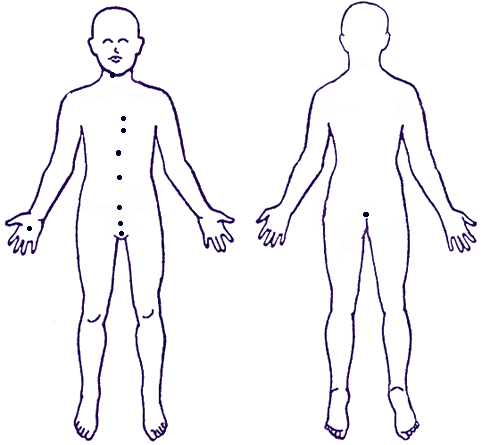 human body diagram. blank human body diagram