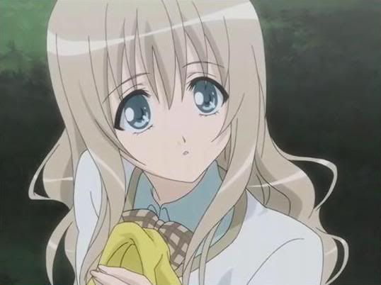 http://img.photobucket.com/albums/v639/Kuroi_Hikari/Anime%20pics/Strawberry%20Panic%20Screenshots/StrawberryPanic-Hikari2.jpg