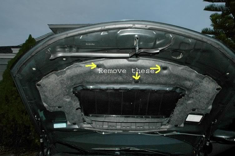 08 STI Hood Scoop Mesh Insert ? Subaru Impreza WRX STI Forums