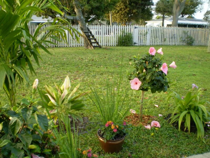 outsmarting the weeds with flowers