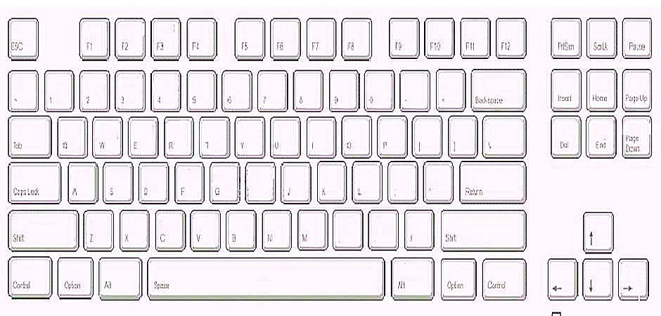 Blank Keyboard Printout White Gold