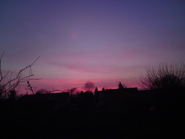 DSC00806.jpg