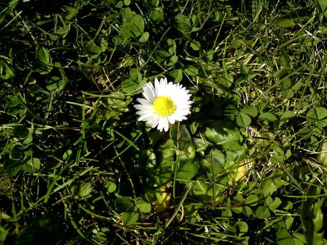 DSC00825.jpg