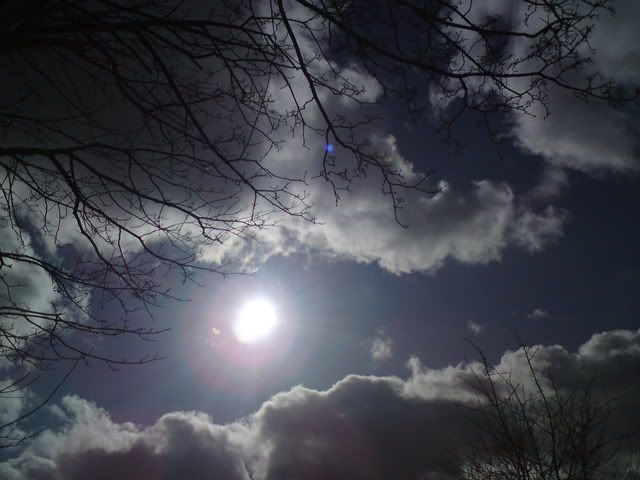 DSC00845.jpg