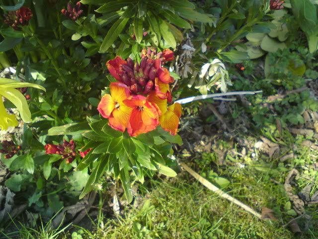 DSC00896.jpg